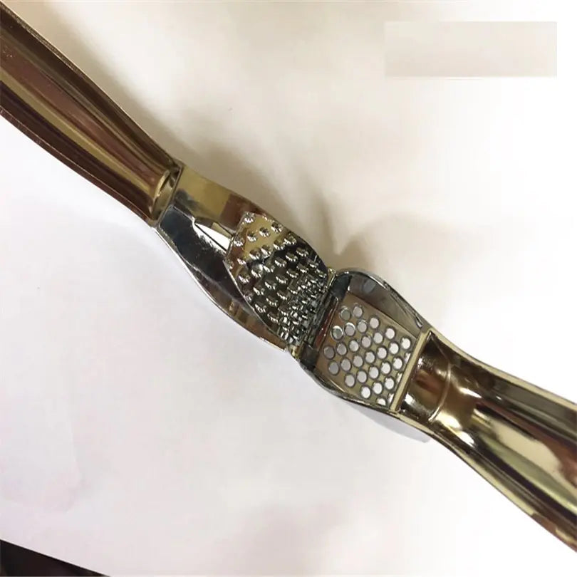 Multi-Functional Stainless Steel Garlic Press Tool